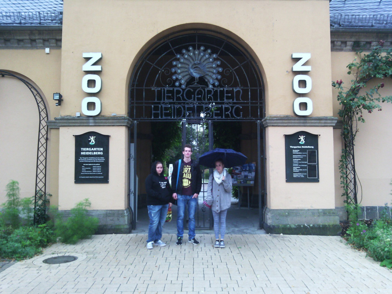 Im Zoo